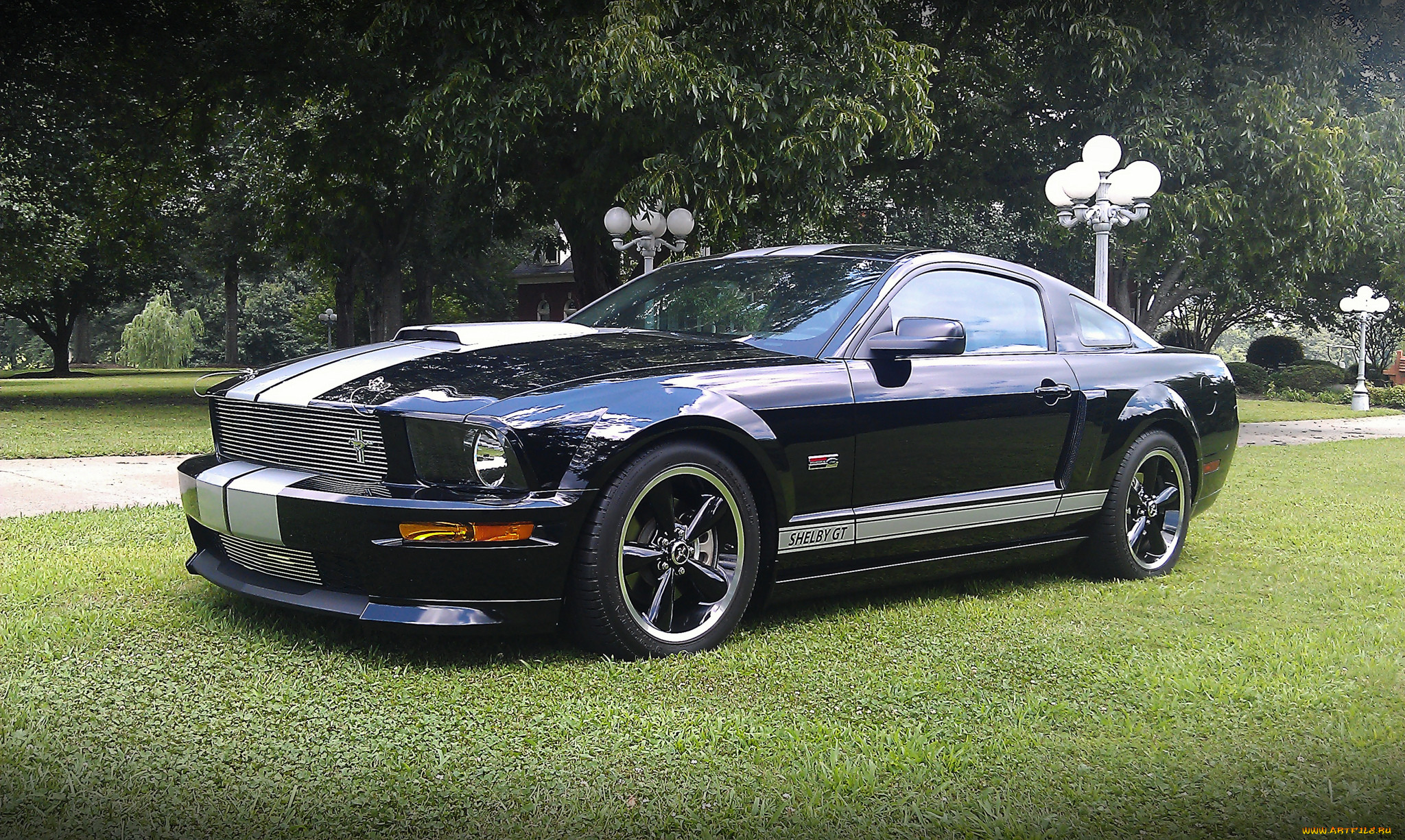 2007 shelby gt, , mustang, 